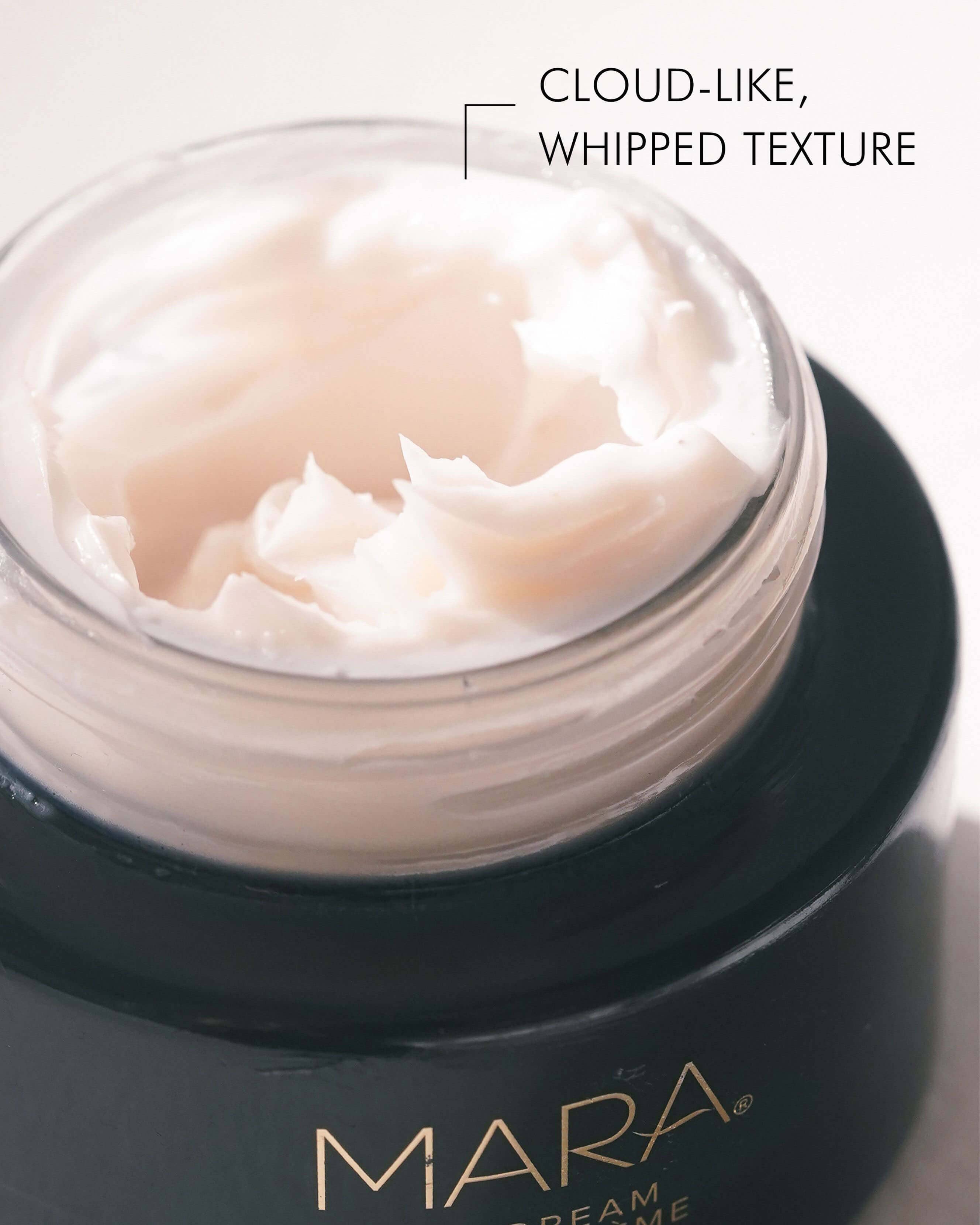 Sea Moss & Stem Cell Firming Algae Cream - Anti-Aging Face Moisturizer for Wrinkles & Dry Skin | Hydrating & Lifting Night Cream for Women & Men | Perfect for Daily Skincare Routine & Post-Workout Recovery