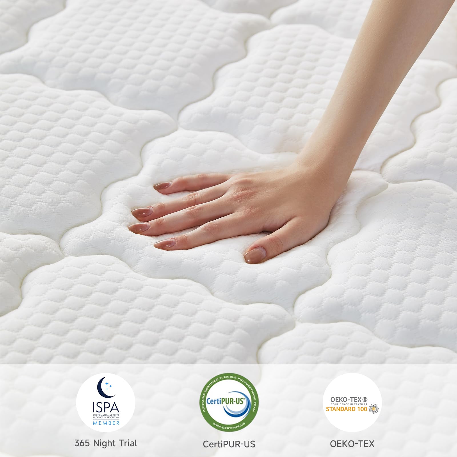 12 Inch Queen Size Mattress in a Box - Hybrid Memory Foam & Pocket Spring for Back Pain Relief - Medium Firm Support - CertiPUR-US Certified - Perfect for Guest Rooms, Master Bedrooms & Apartments