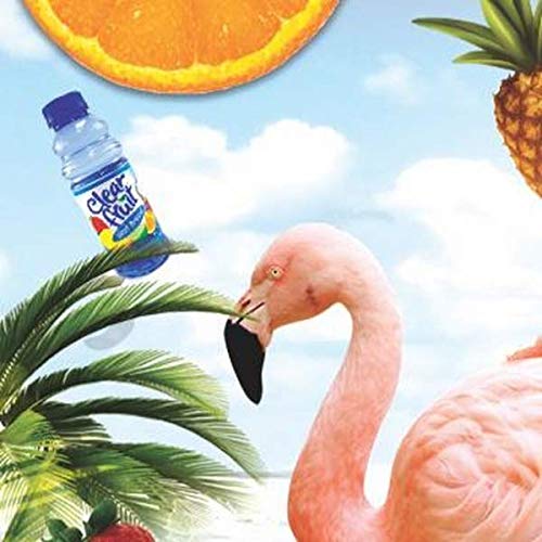 12 Pack Clear Grape Fruit Water - 20 Ounce Non-Carbonated Beverage Bottles for Hydration, Workouts & On-the-Go Refreshment