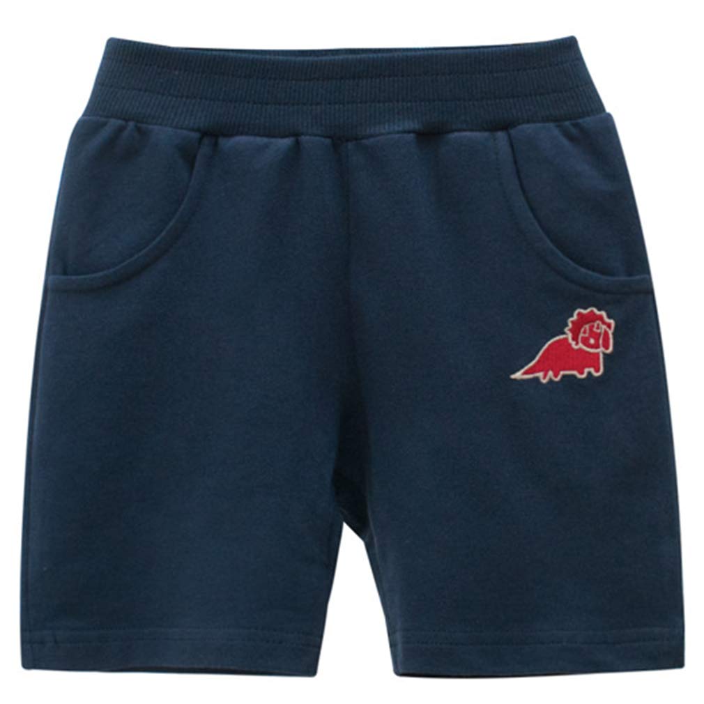 Boys Summer Outfits 2-7T - Cool Short Sleeve T-Shirt & Shorts Set for Playtime