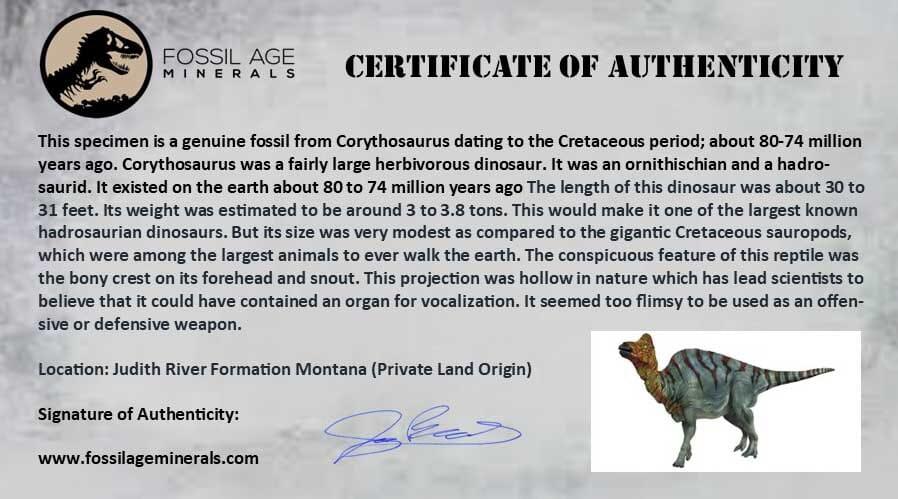Authentic 0.5
