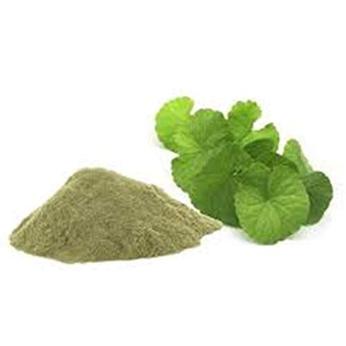 Organic Brahmi Powder for Hair Growth & Scalp Treatment - 100g | Ayurvedic Herbal Remedy for Dandruff, Hair Loss & Thinning | Promotes Healthy Hair & Scalp Care - Perfect for DIY Hair Masks & Natural Hair Treatments