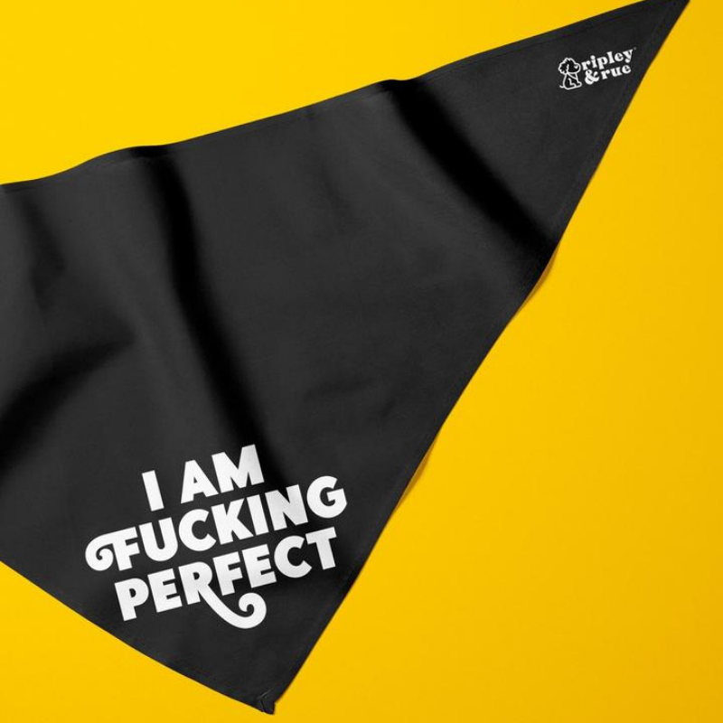 Ripley and Rue I am Perfect Dog Bandana - Cute Pet Bandanas for Small & Large Dogs - Perfect for Walks, Photos & Special Occasions