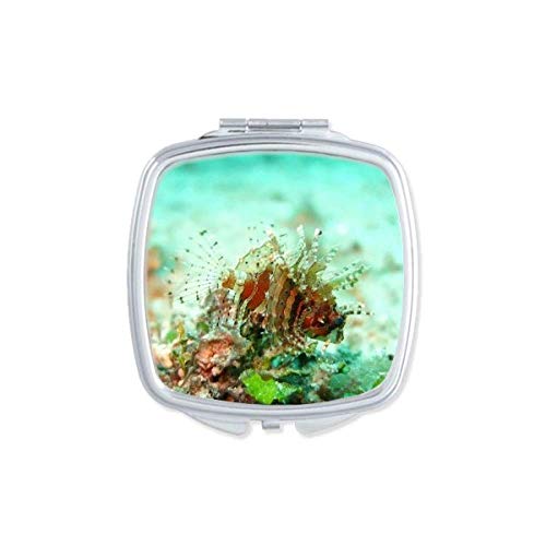 DIYthinker Lionfish Ocean Sea Marine Organism Compact Pocket Mirror - Double Sided Glass Makeup Mirror for Travel, Purse & Vanity | Portable Cosmetic Mirror for Women & Girls