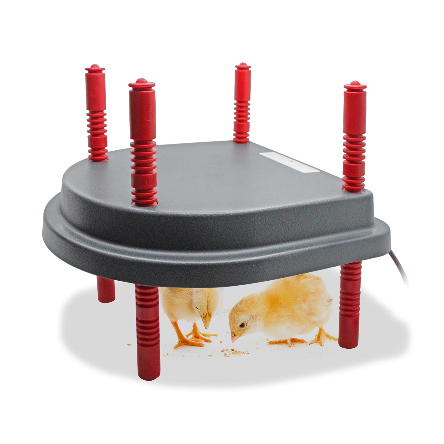 Chick Duckling Brooder Heating Plate - Safe Mother Hen Style Chicken Coop Heater for Up to 15 Chicks & Ducklings | Ideal for Poultry Farm, Backyard Chicken Coop & Pet Duckling Care