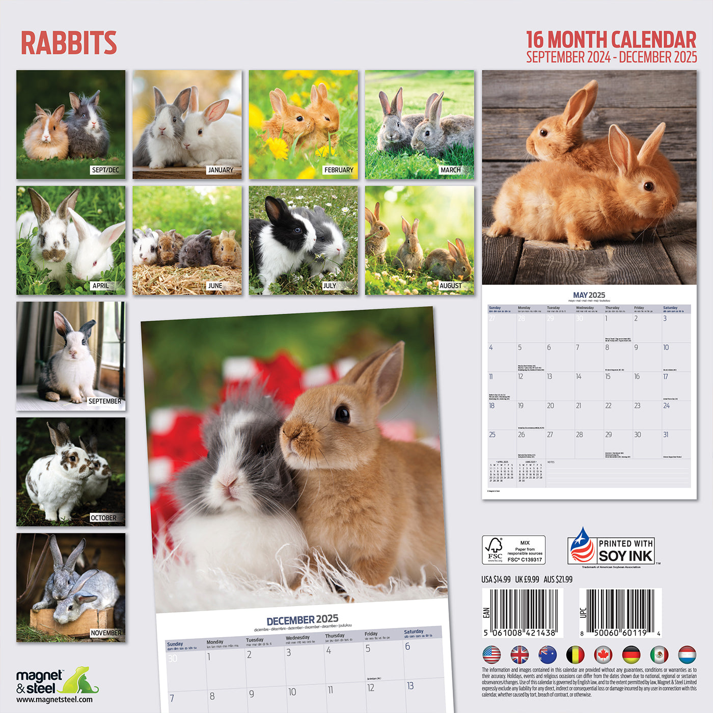 2025 Rabbit Zodiac Wall Calendar - Chinese Lunar New Year Decor & Planner | Perfect for Home, Office & Gifting