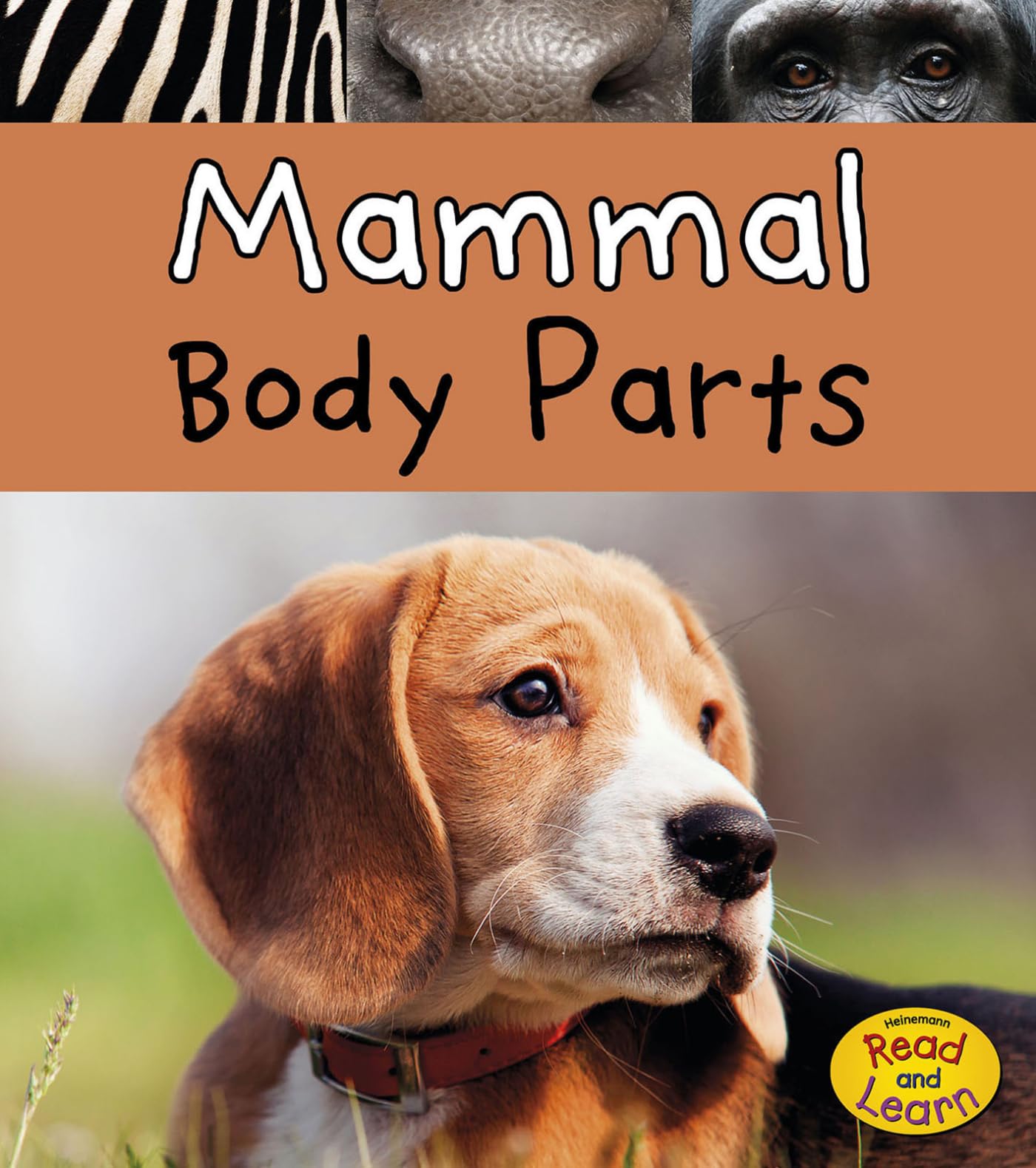 Mammal Body Parts - Educational Animal Anatomy Model for Kids & Science Classrooms | Perfect for Biology Lessons & STEM Learning Activities