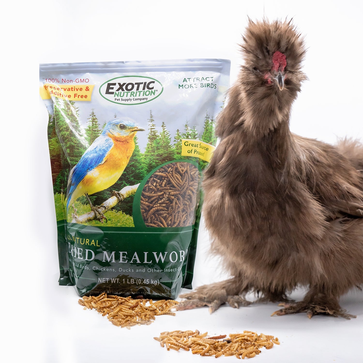 Premium Bulk Dried Insect Trio - High Protein Mealworms, Crickets & Grasshoppers for Reptiles, Birds & Fishing Bait - Perfect for Pet Food, Wild Bird Feeding & Outdoor Adventures