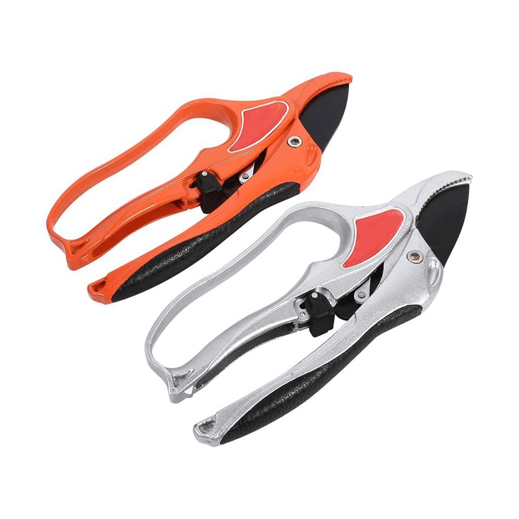 Premium Garden Scissors - 1 Pack Sharp Bonsai Pruning Shears for Fruit Trees, Plants & Gardening | Ergonomic Grafting Tool & Portable Secateurs for Home Garden, Landscaping & Professional Use