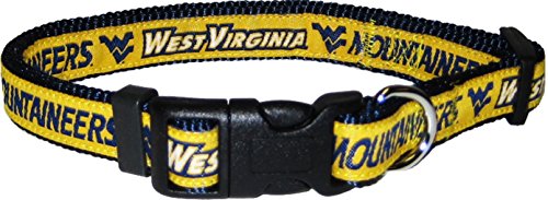 West Virginia Mountaineers