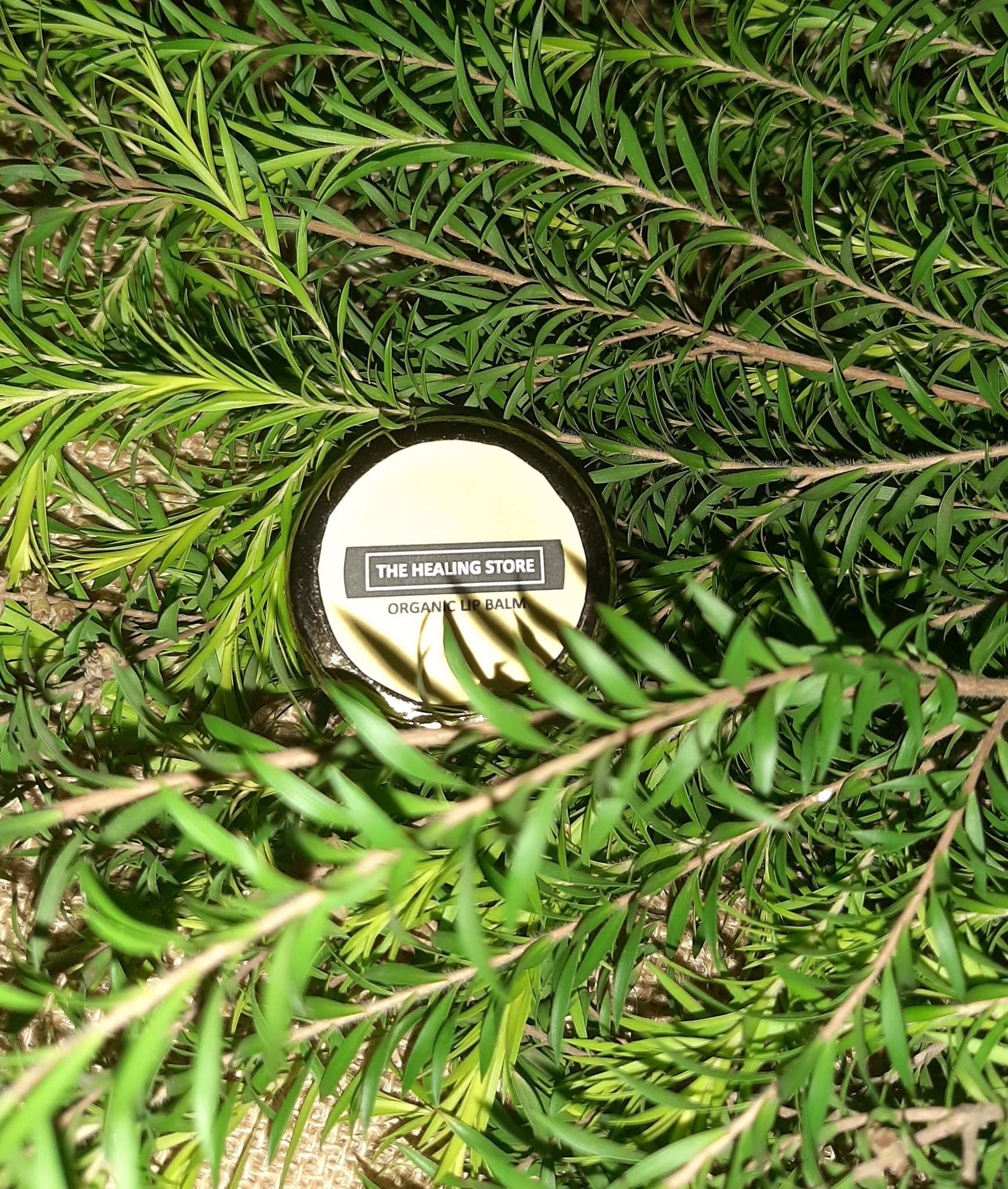 Organic Lemon & Mint Lip Balm - Soothing & Moisturizing for Dry, Chapped Lips - Perfect for Outdoor Activities, Travel & Daily Hydration