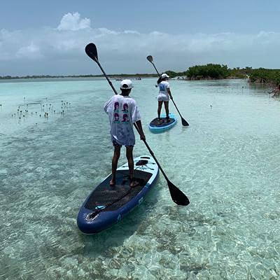 Premium STAGE 2Side Double Bladed Carbon Fiber SUP Paddle - Lightweight PP+F Blades for Kayak & Stand Up Paddle Boarding | Perfect for Ocean, Lake & River Adventures