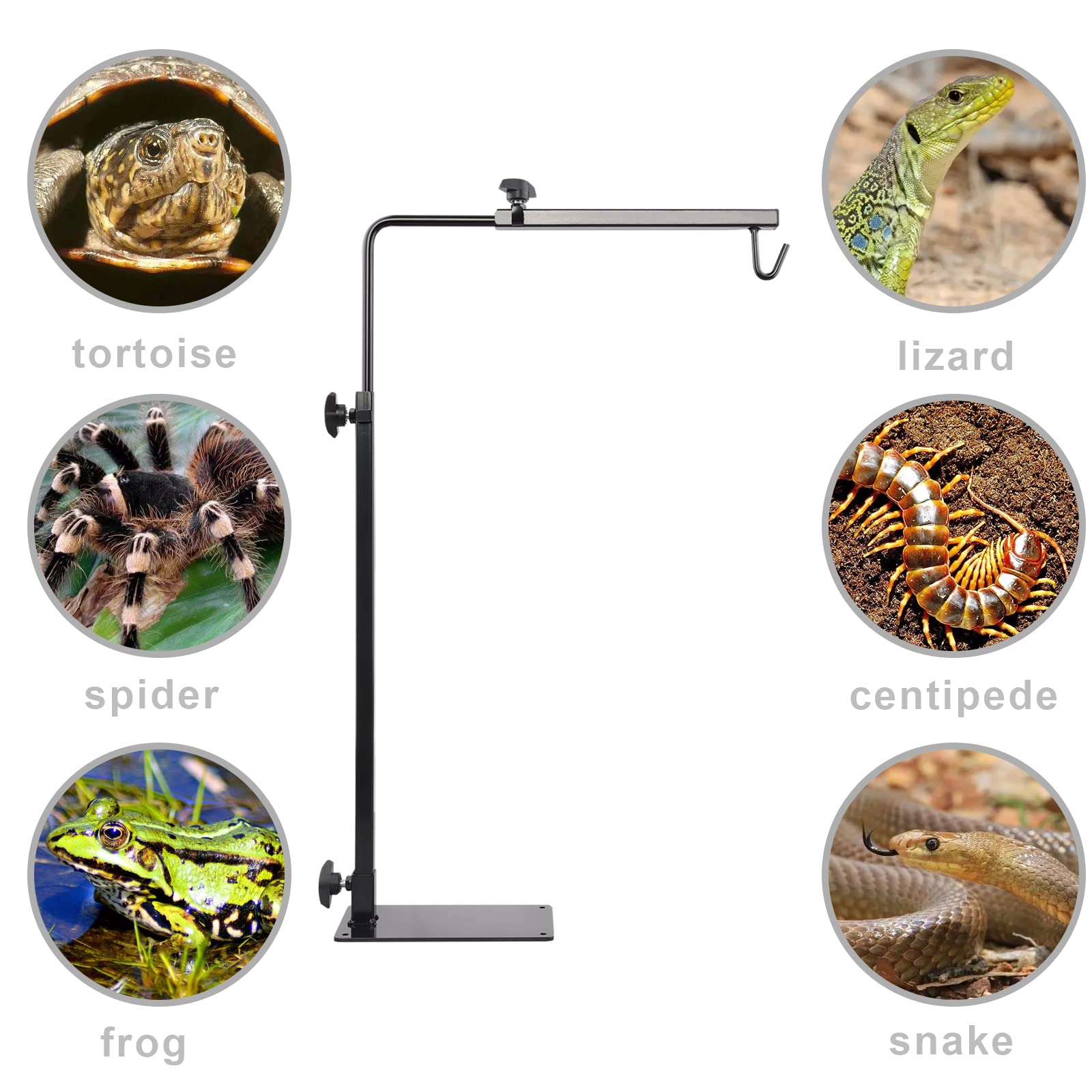 Adjustable Reptile Heat Lamp Stand with Fixture - Heavy Duty Floor Holder for Reptile Terrarium Lighting - Perfect for Lizards, Snakes & Turtles Enclosures