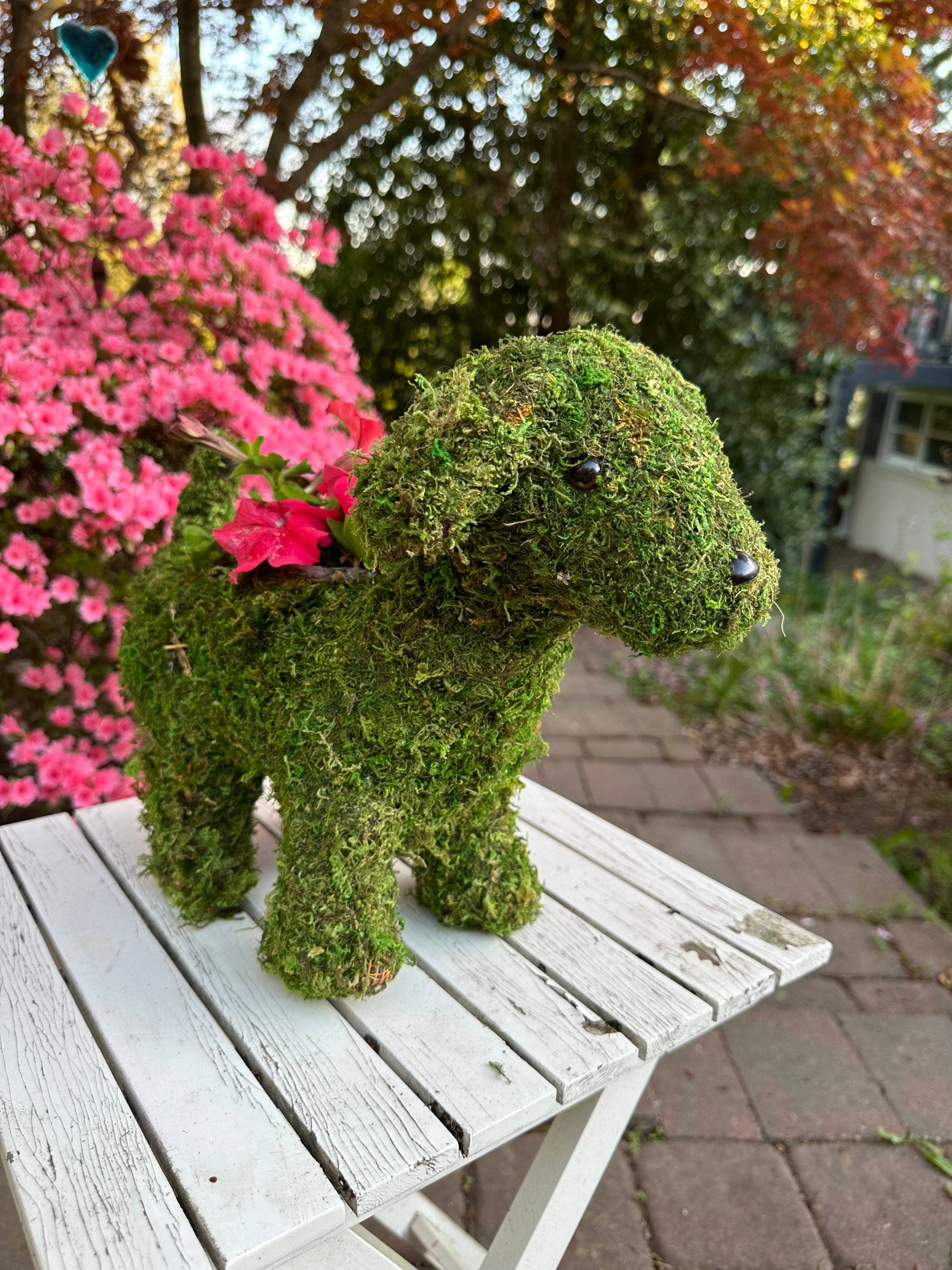 13 Inch Puppy Moss Planter - Cute Indoor Succulent Planter for Home & Office Decor - Perfect for Windowsills, Desks, and Gift Giving
