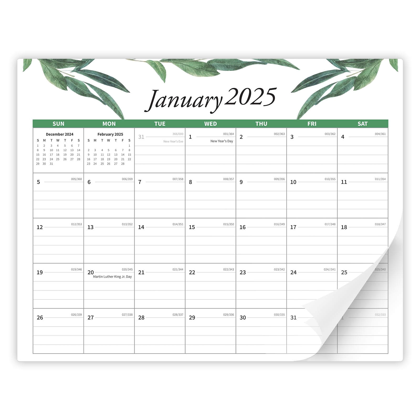 2025-2026 Magnetic Refrigerator Calendar - 18 Month Planner from Jan 2025 to June 2026, 15