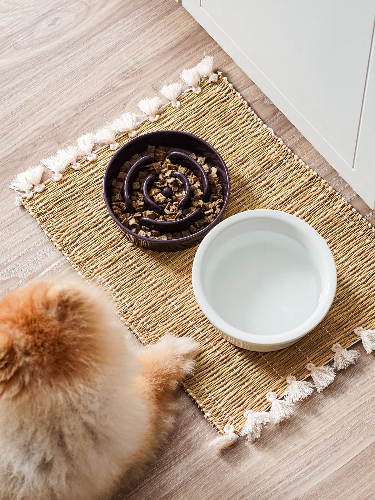 LE TAUCI Ceramic Slow Feeder Dog Bowl for Small Breeds - 0.6 Cup Puzzle Food Dish for Fast Eating Dogs & Cats - Purple - Perfect for Mealtime Portion Control and Digestion Aid