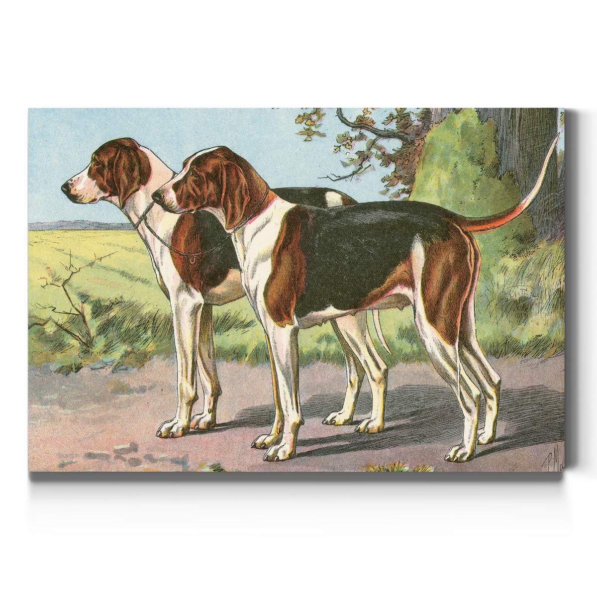 American Foxhound Wall Art - Premium Gallery Wrapped Canvas Dog Decor, Colorful Pet Artwork (32x48 Inches), Ready to Hang - Perfect for Living Room, Bedroom & Office Decor | Made in USA
