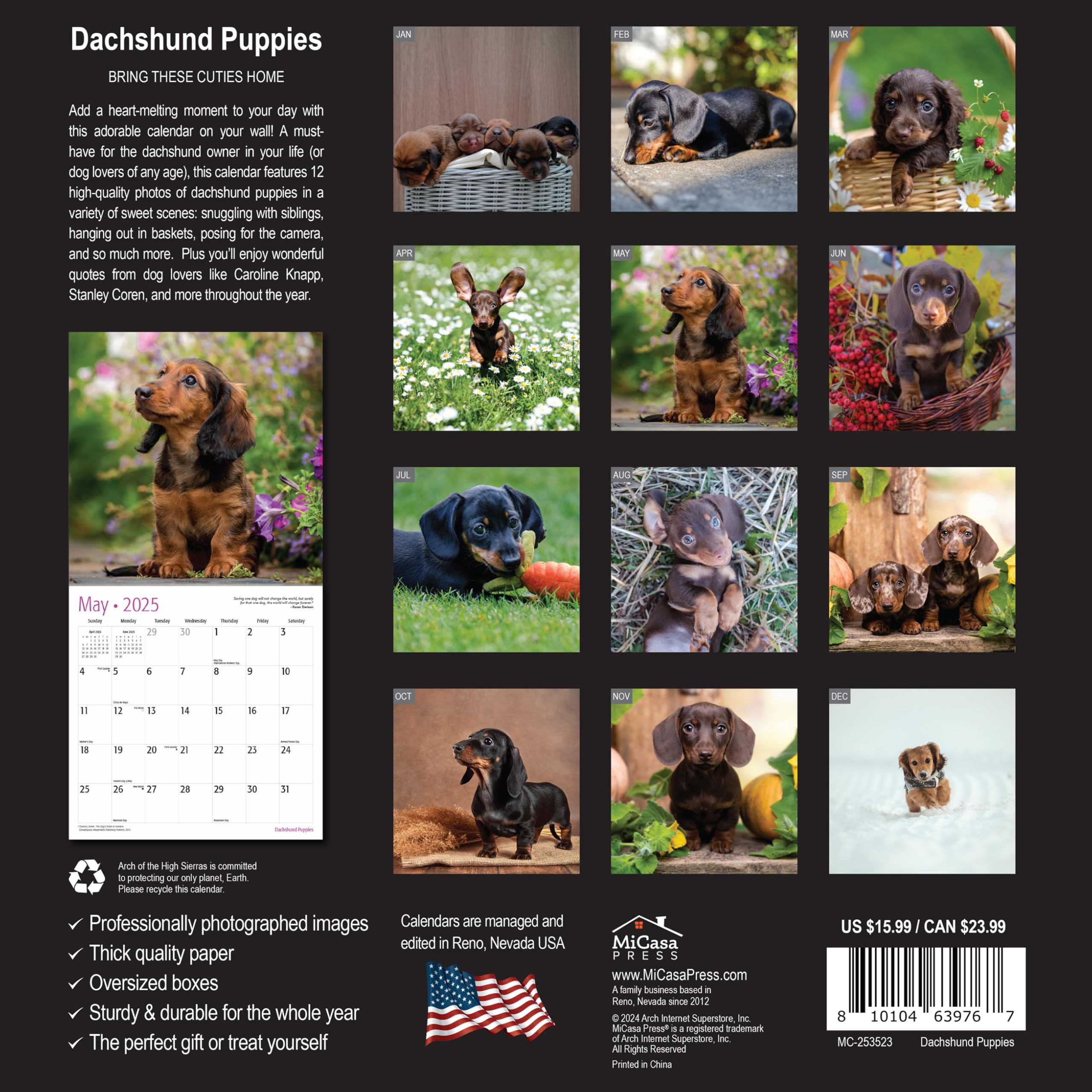 **MICASA PRESS - 2025 Dachshund Puppies Wall Calendar | 12
