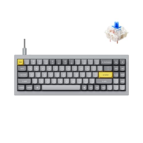 Hot-swap Gateron G Pro Blue Switch