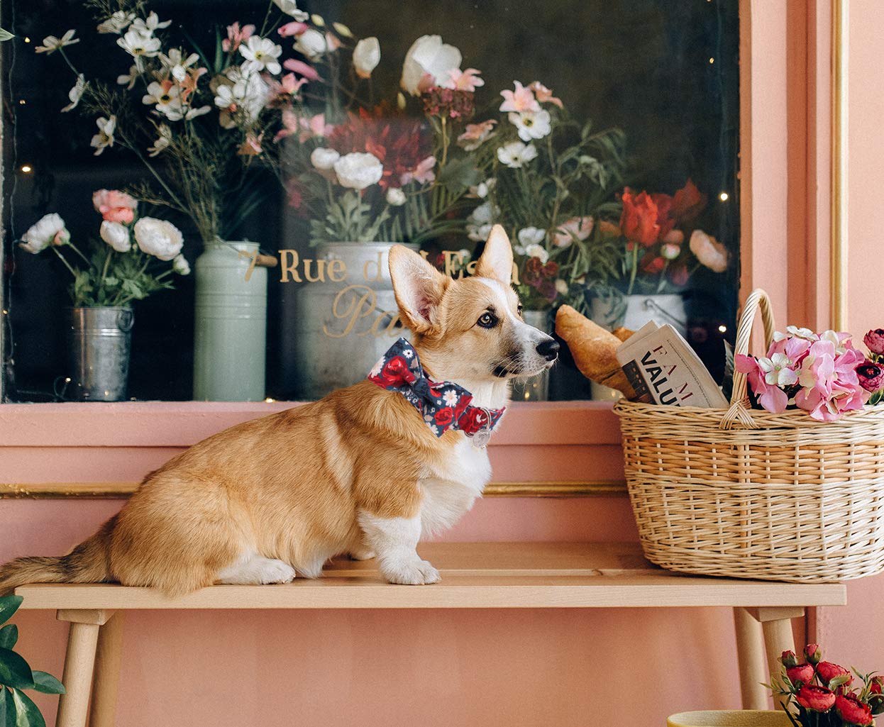 DOGWONG Adjustable Cotton Dog Collar with Floral Print & Bow - Soft Summer Collar for Small, Medium, Large Dogs - Perfect for Daily Walks, Outdoor Adventures & Pet Fashion