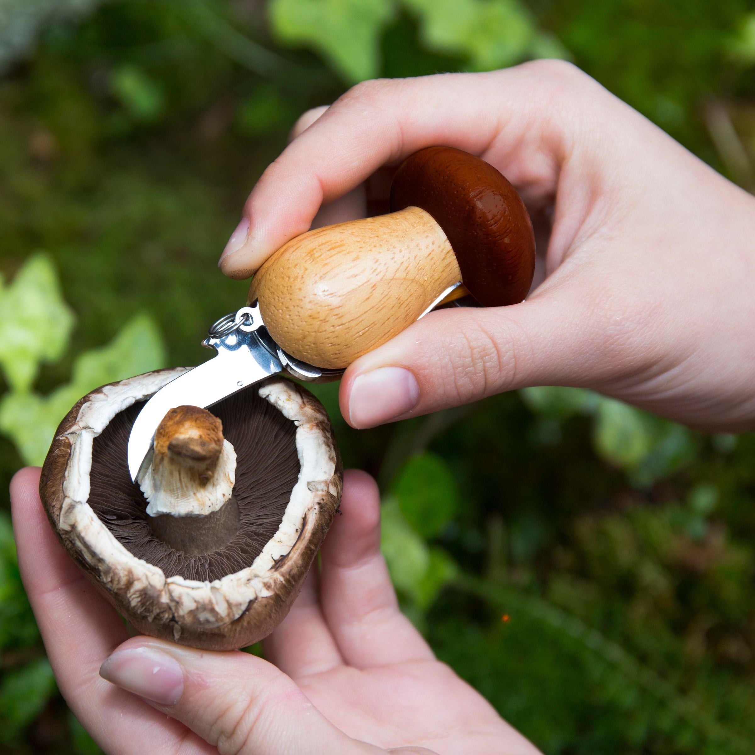 Premium Mushroom Tool Keychain - Stainless Steel Multi-Function Foraging Kit for Outdoor Enthusiasts - Perfect for Hiking, Camping & Nature Exploration