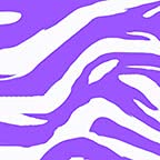Purple Zebra Print