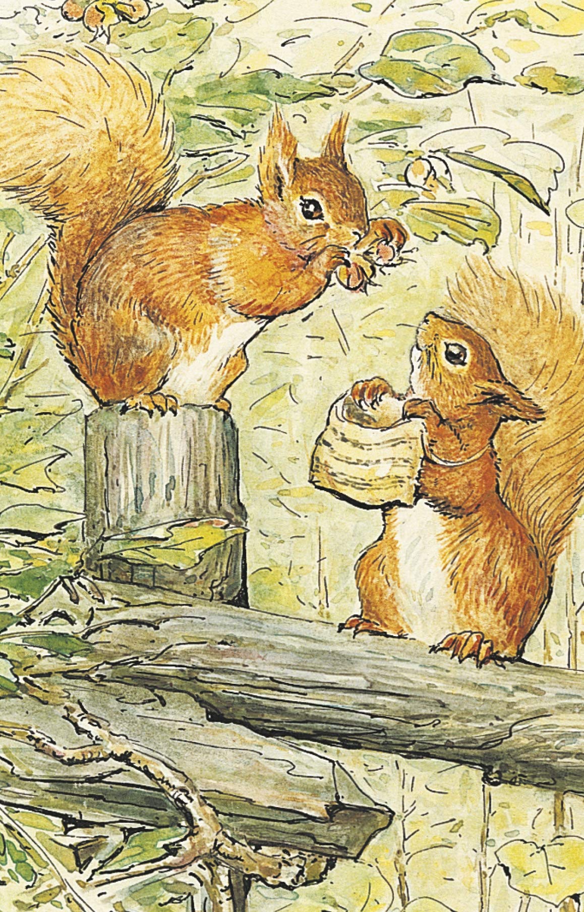 The World of Peter Rabbit: A Beautiful Box of Collectible Postcards - Perfect for Gifts, Scrapbooking & Home Decor