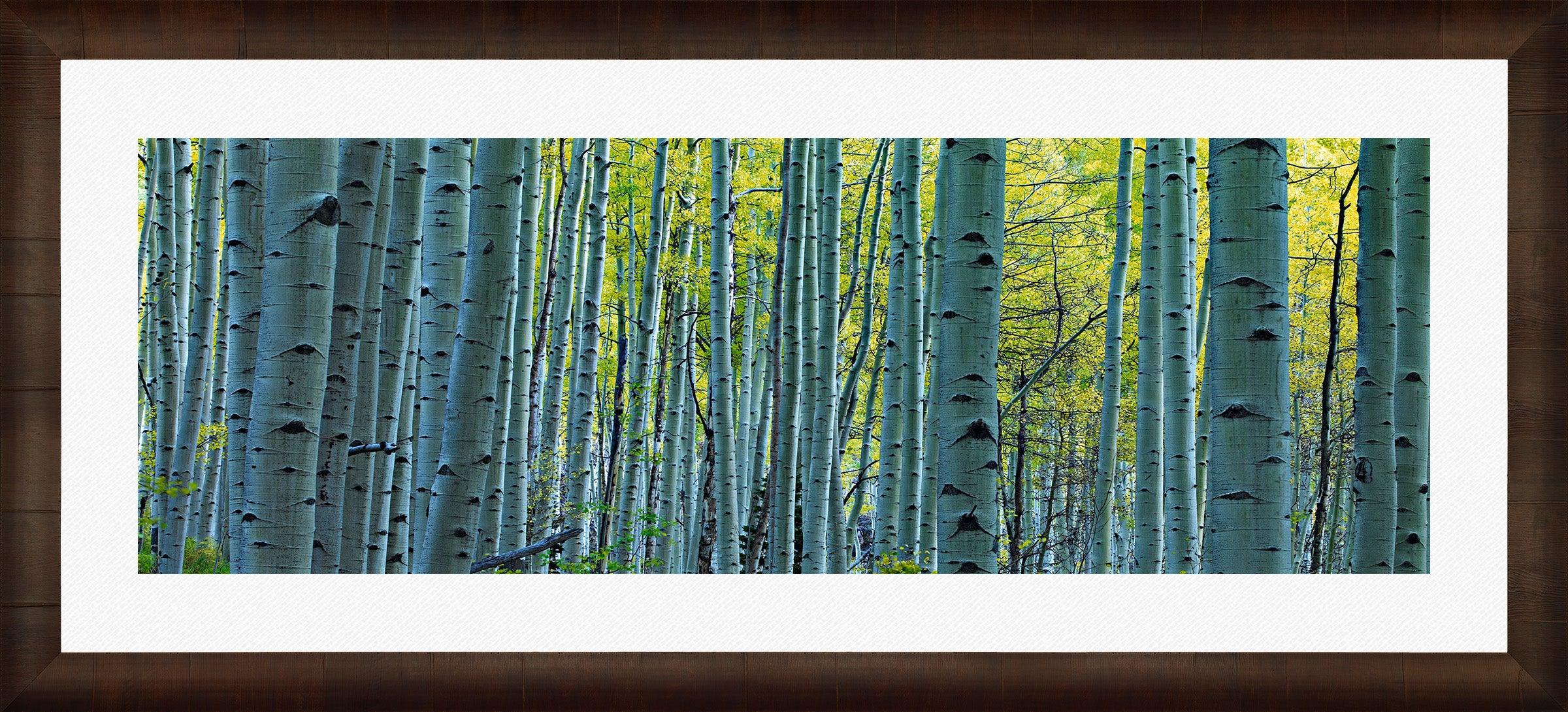Endless Birches Wall Art - Handmade Birch Tree Canvas Prints for Home & Office Decor | Perfect for Living Room, Bedroom & Office Spaces