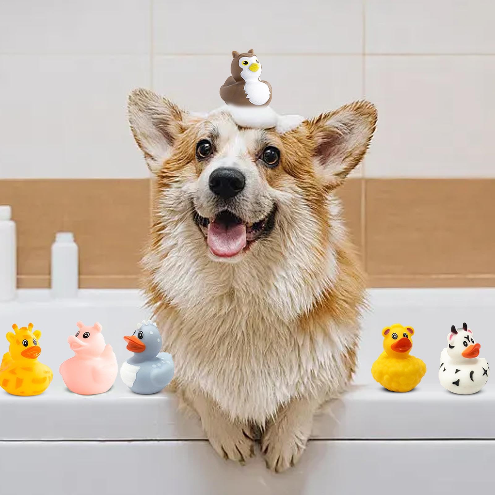12pcs Floating Duck Bath Toys for Babies & Toddlers - Cute Swimming Duck Set for Fun Bath Time | Safe & Non-Toxic Infant Bathtub Toys | Perfect for Sensory Play, Baby Shower Gifts & Early Learning