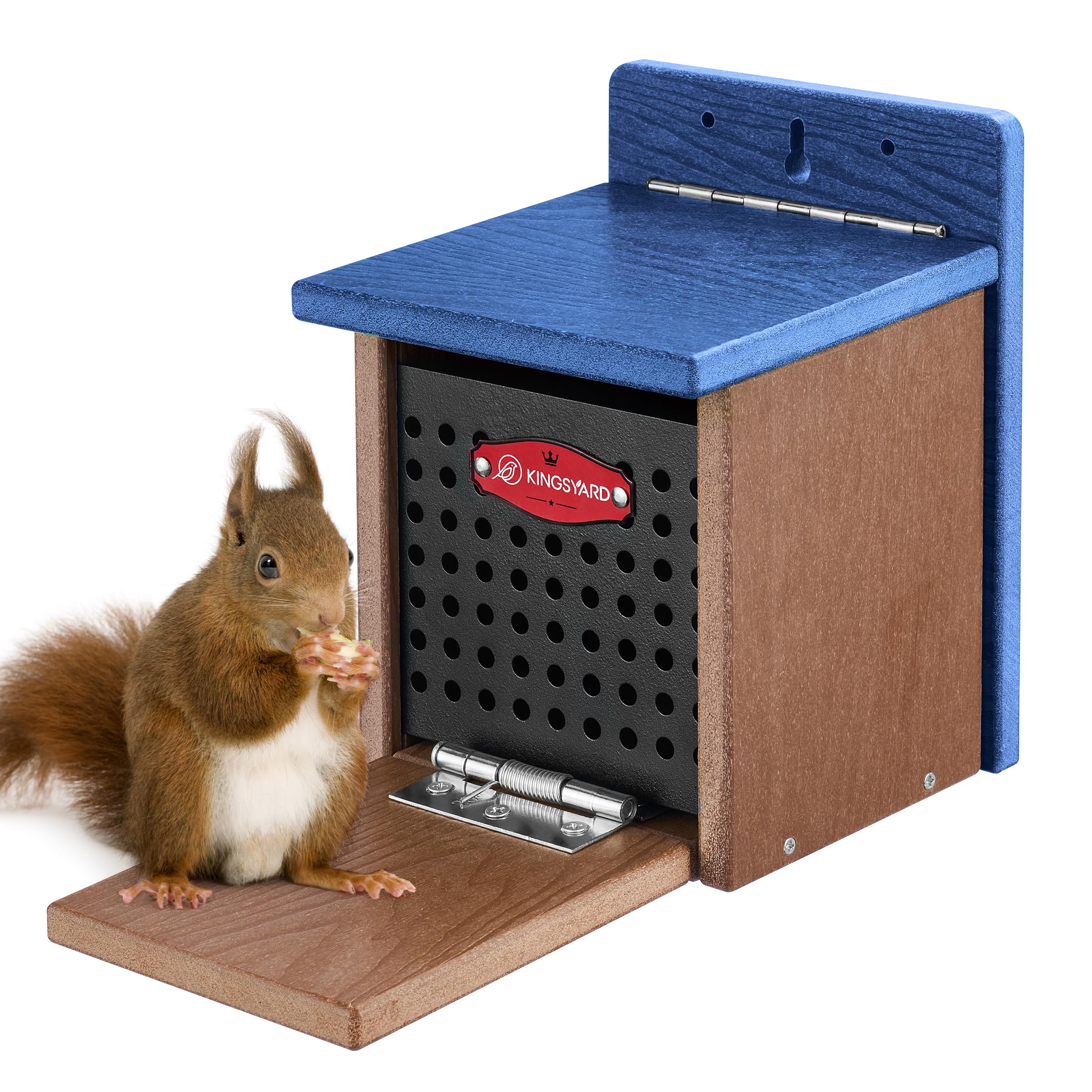 Premium Recycled Plastic Squirrel Feeder for Outdoor Use - Durable Weatherproof Design with Removable Metal Panel & Perch - Easy Fill & Clean Blue Squirrel Feeder Box - Perfect for Backyard, Garden & Wildlife Watching