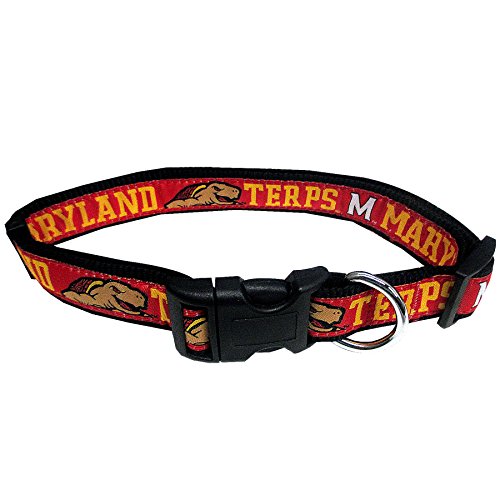 Maryland Terrapins