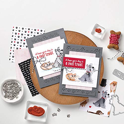 Lazy Cats & Happy Dogs Metal Cutting Dies and Clear Rubber Stamps Set - Card Making, Scrapbooking, Photo Album Decor - DIY Paper Crafting Stencil Dies for Friendship Cards & Memory Books