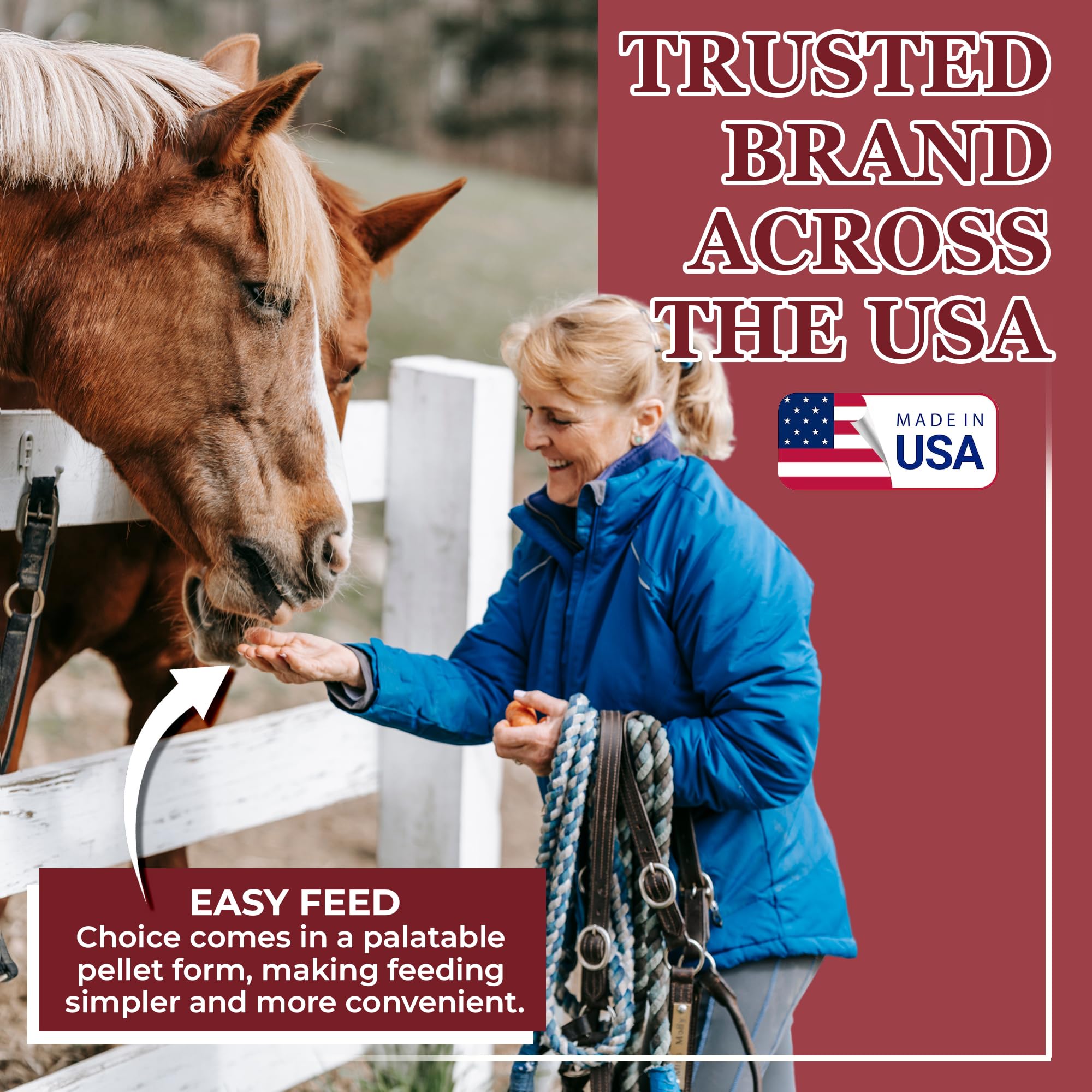 Equerry's Choice Premium Horse Pellets - Complete Nutritional Supplement with Digestive Enzymes & Chelated Vitamins for Optimal Equine Health | 20 lb Bag | Ideal for Performance Horses, Senior Horses & Digestive Support
