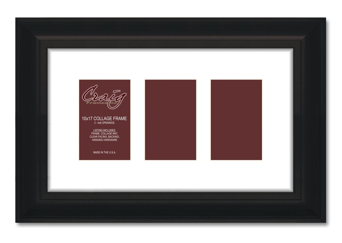 Craig Frames 10x17 Inch Black Picture Frame with Single White Mat - 3x4 to 6 Inch Photo Openings for Wall Decor, Home Office & Gallery Displays