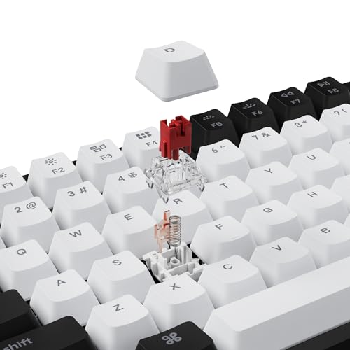Gateron G Pro mechanical Red Switch