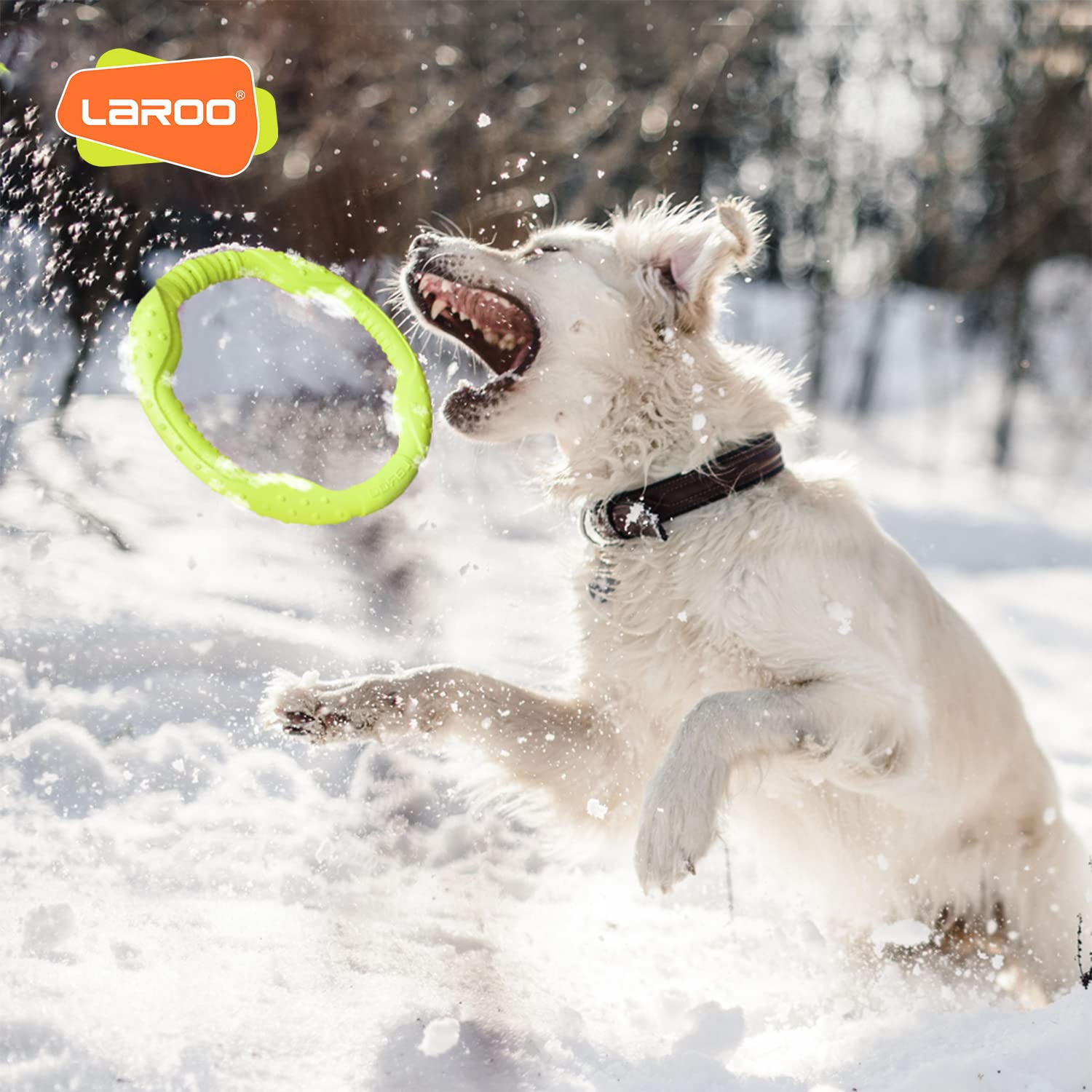 **LaRoo Floating Dog Flying Ring Toy - Durable Outdoor Chew Disc for Medium & Large Dogs - Perfect for Summer Fetch Training & Water Play (Medium Green, 22cm)**