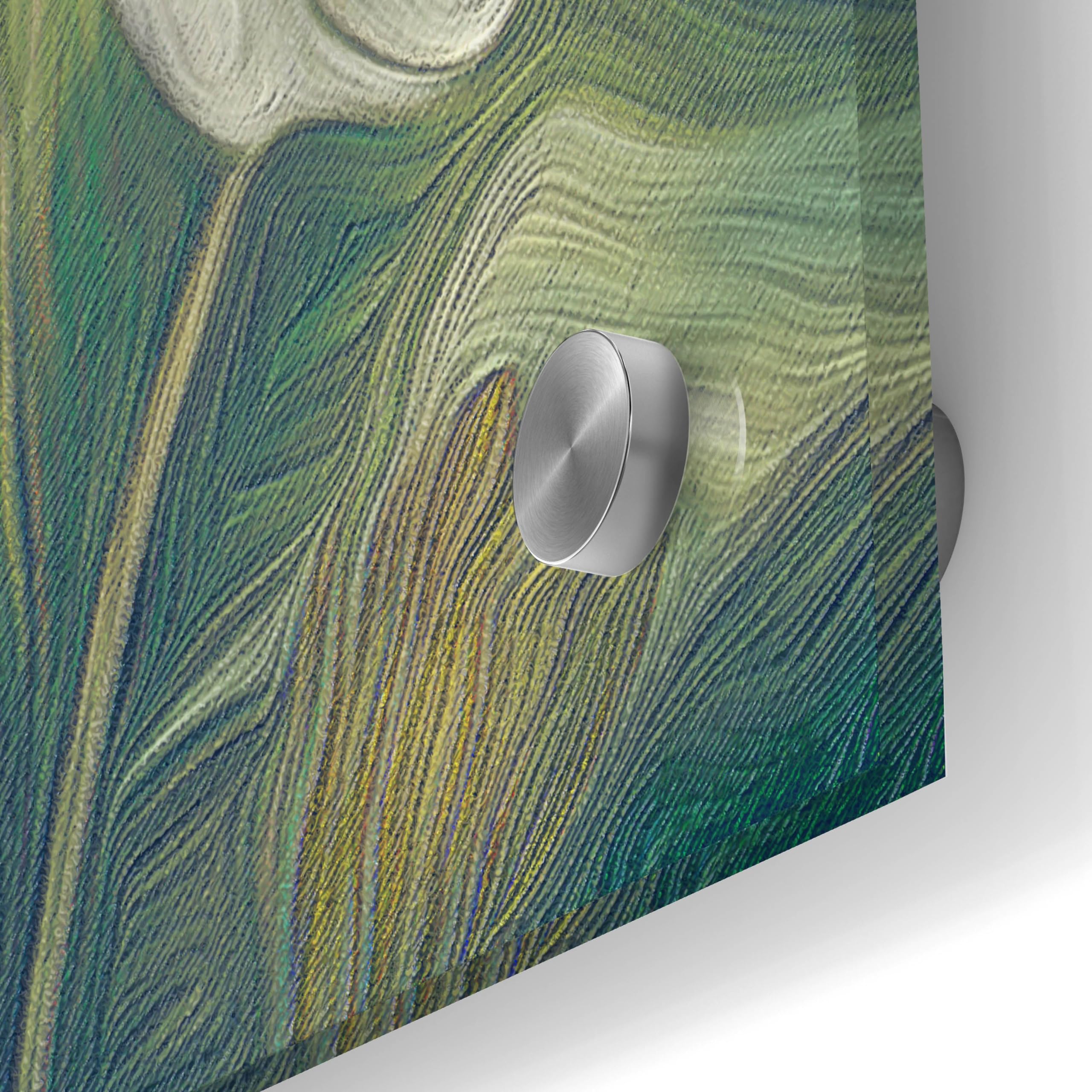 Steve Hunziker 'Painted Plumage Three' Acrylic Glass Wall Art - 24x36 Inches Modern Bird Painting for Living Room, Bedroom & Office Decor