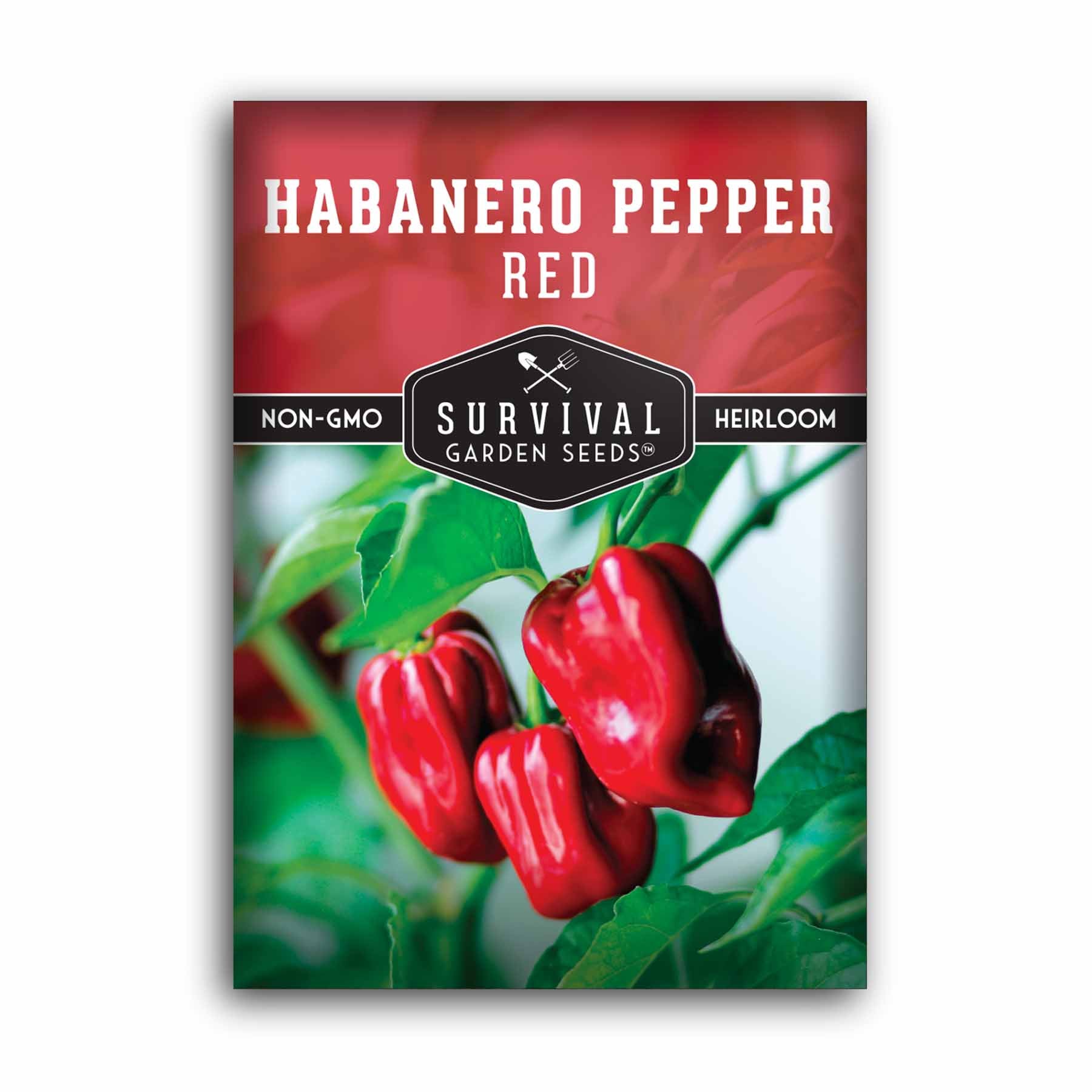 Fiery Red Habanero Pepper Seeds - Hot Chili Pepper for Cooking, Salsa & Spicy Recipes - Perfect for Home Garden & Mexican Cuisine