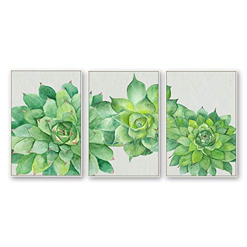 Plants-1909-n21
