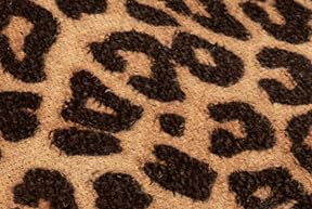 Tan Leopard