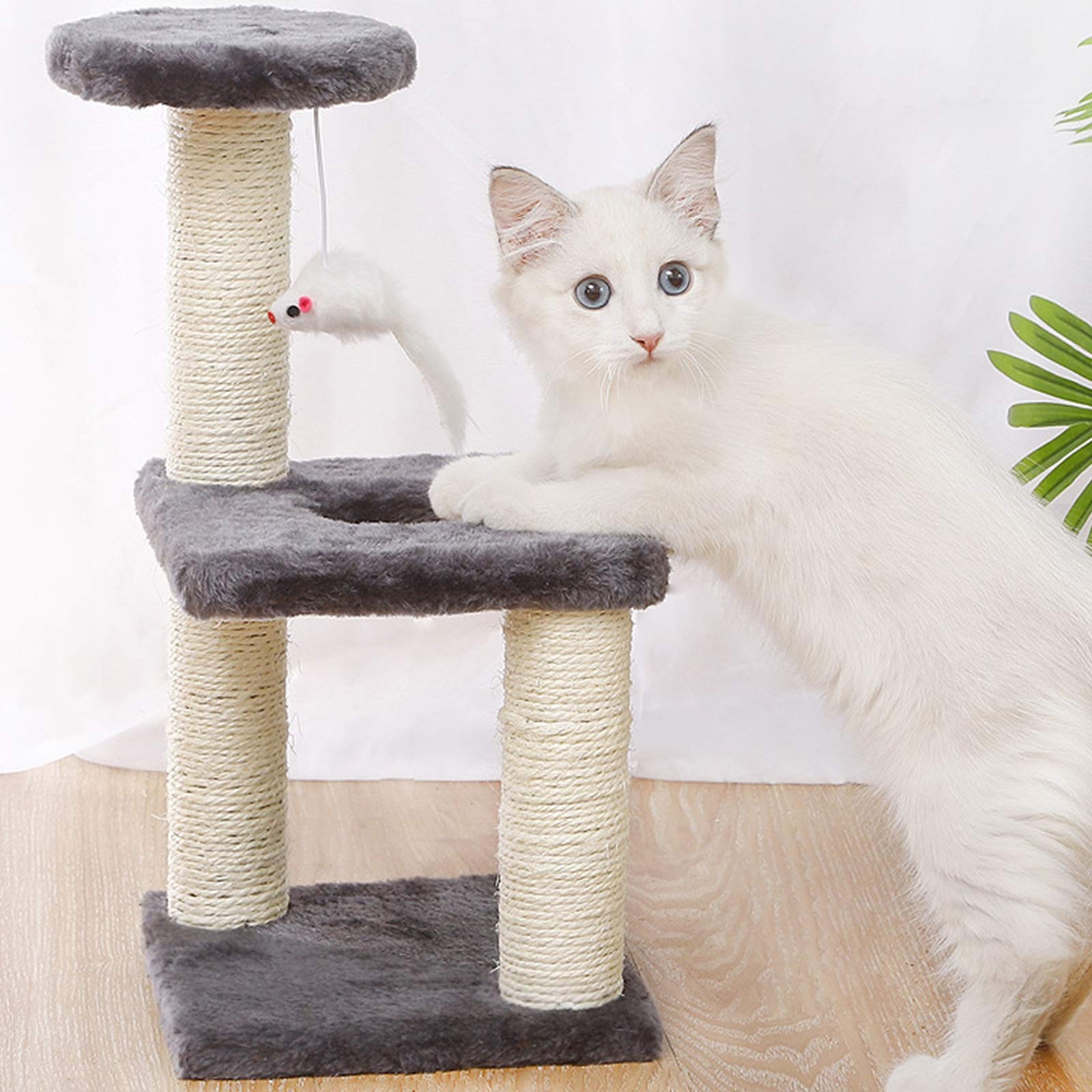 Premium Cat Scratching Post & Tree Tower with Plush Perch, Sisal Scratch Pole & Hanging Mouse Toy - Durable Kitten Activity Center for Small Cats - Perfect for Playtime, Climbing & Scratching in Living Rooms & Bedrooms