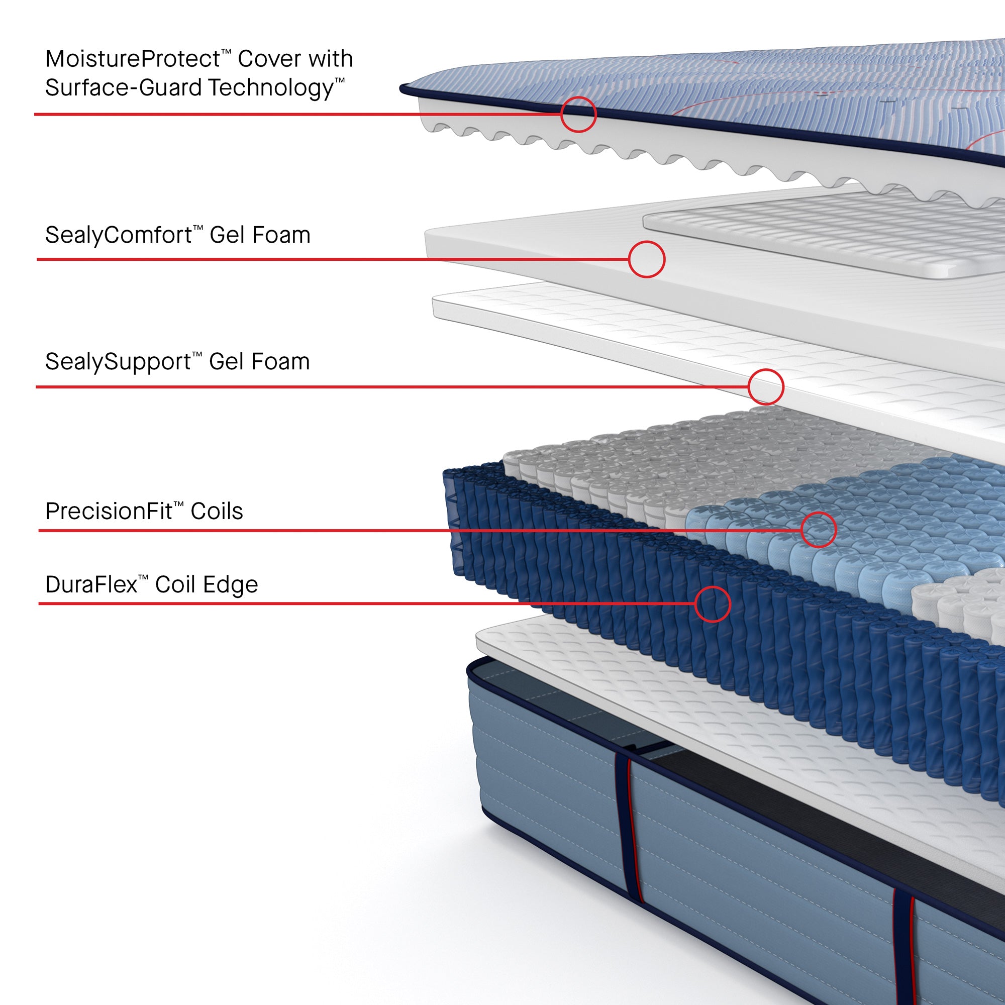 Sealy Posturepedic Plus Hagerstown Ultra Firm Tight Top Mattress - Queen Size Orthopedic Support for Back Pain Relief | Perfect for Side Sleepers & Pressure Point Relief | Bedroom, Guest Room, Dorm Essentials