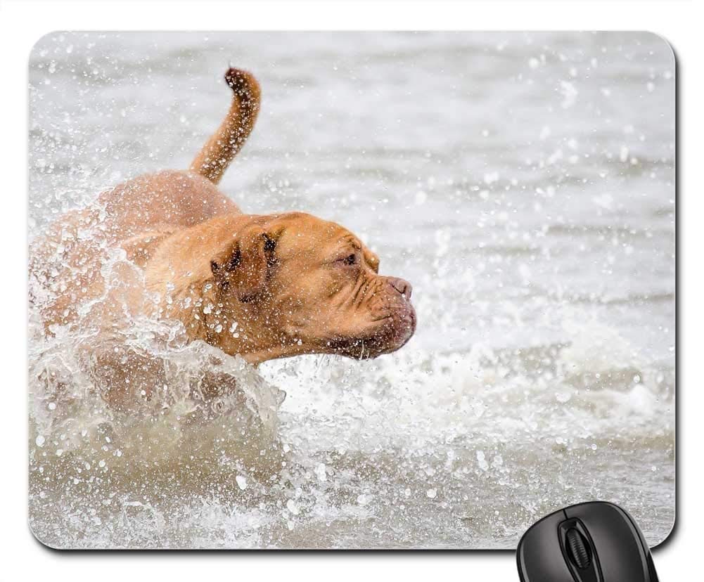 Premium Gaming Mouse Pad with Non-Slip Base - Large Extended Mouse Mat for PC, Laptop & Office Use - Perfect for Wildlife & Pet Photography Enthusiasts, Dog Lovers - Ideal for Gaming, Work & Creative Projects