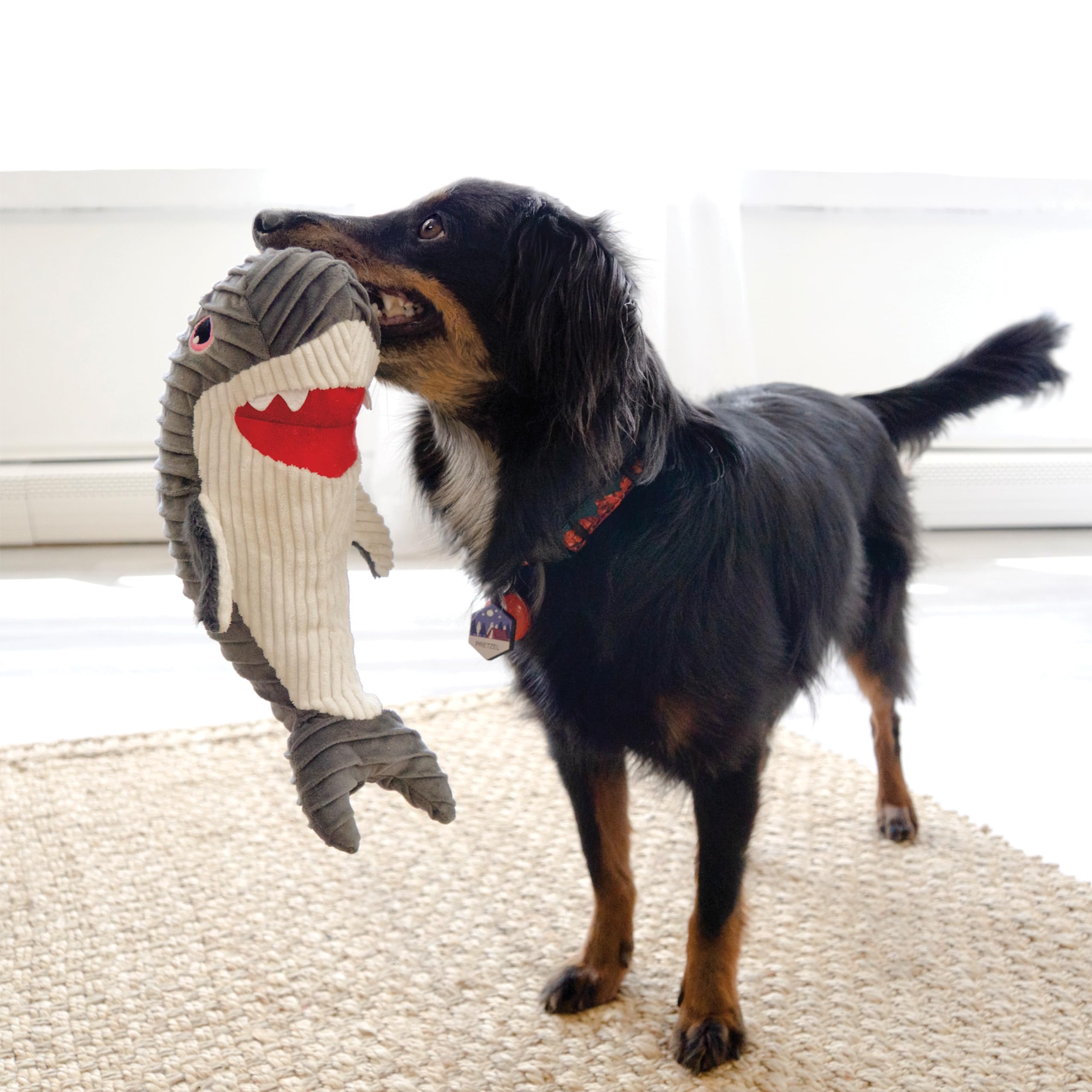 KONG Cuteseas Rufflez Soft Ridged Plush Dog Toy - Shark Design for Small & Medium Dogs | Interactive Chew Toy for Teething, Playtime & Cuddling