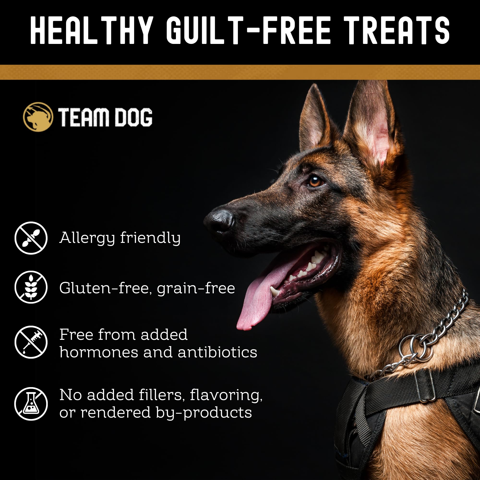 Premium Freeze-Dried Wild Alaskan Salmon Dog Treats - Single Ingredient, Grain-Free & Gluten-Free - Rich in Omega 3 for Healthy Skin & Coat - 4 Chews per Bag - Perfect for Training Rewards & Dental Health