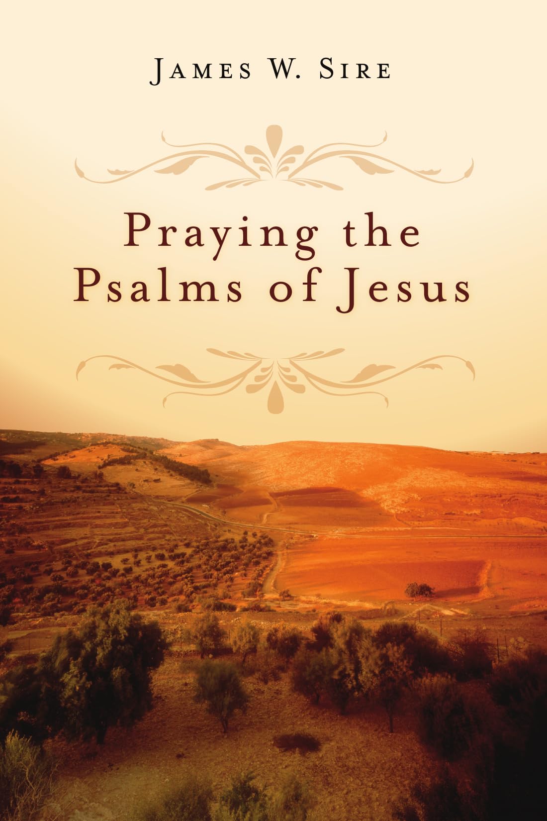 Praying the Psalms of Jesus - Christian Devotional Book for Spiritual Growth & Daily Prayer - Perfect for Bible Study, Worship & Personal Reflection