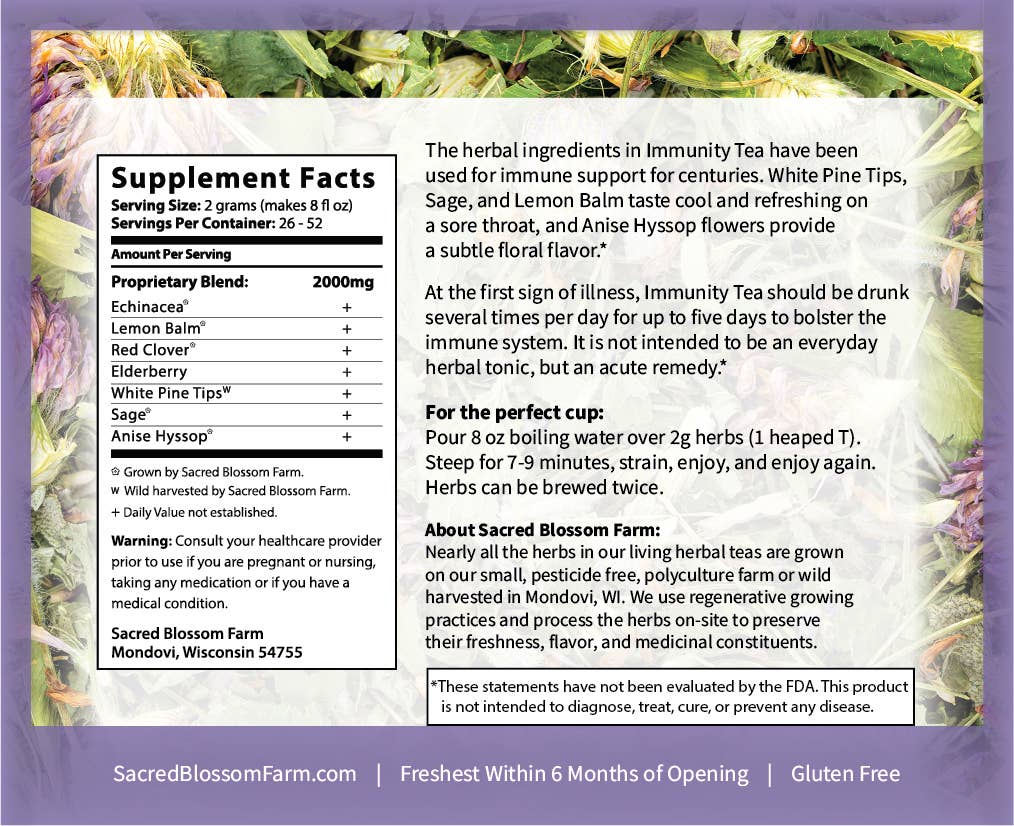Best Immunity Boosting Supplements for Adults - Natural Immune Support Vitamins & Herbs for Daily Wellness & Cold Defense
