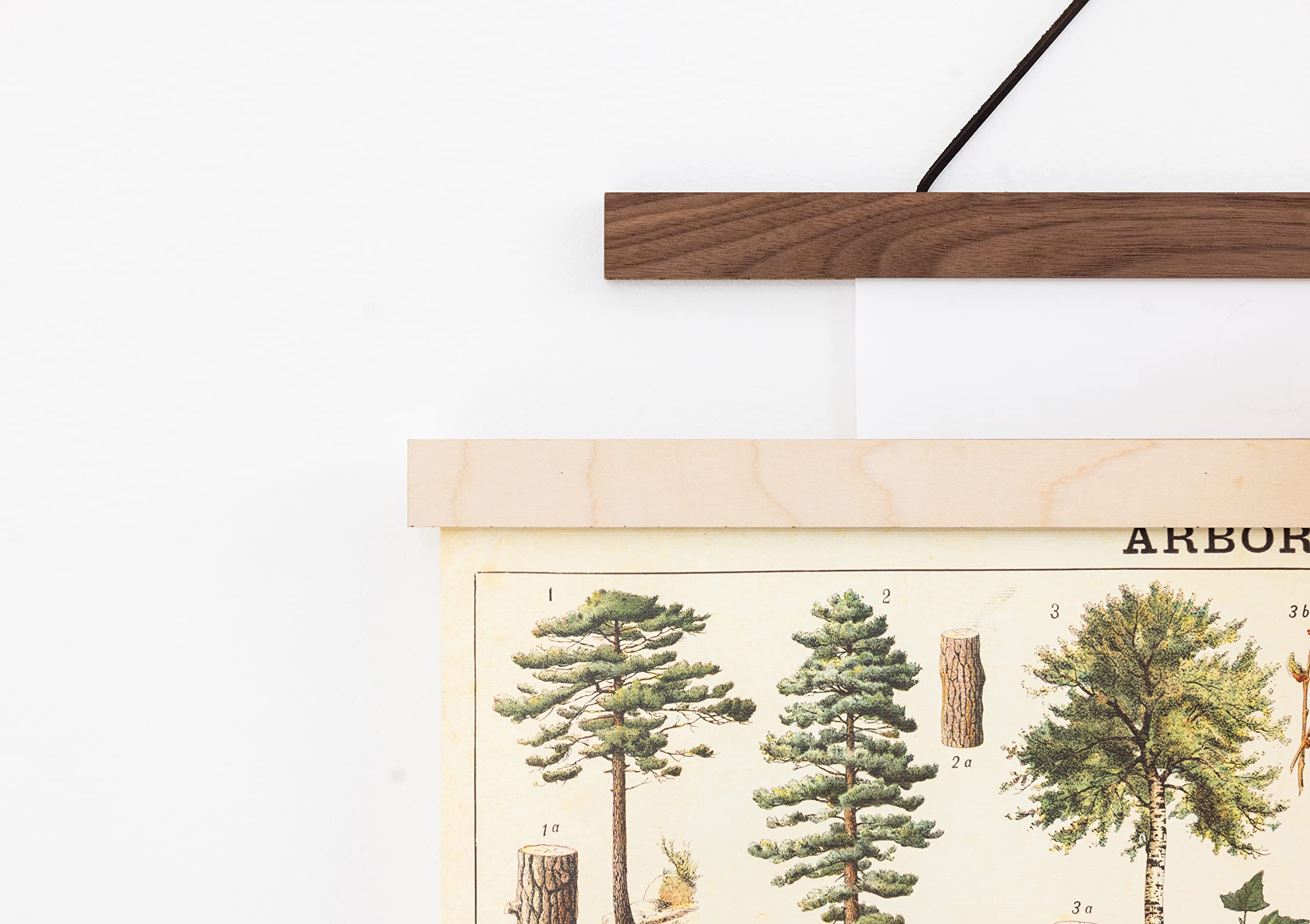 Magnetic Poster Hanger Frames 12x18 & 18x24 - Wall Art Display for Canvas & Tapestry - Easy Hanging Solution