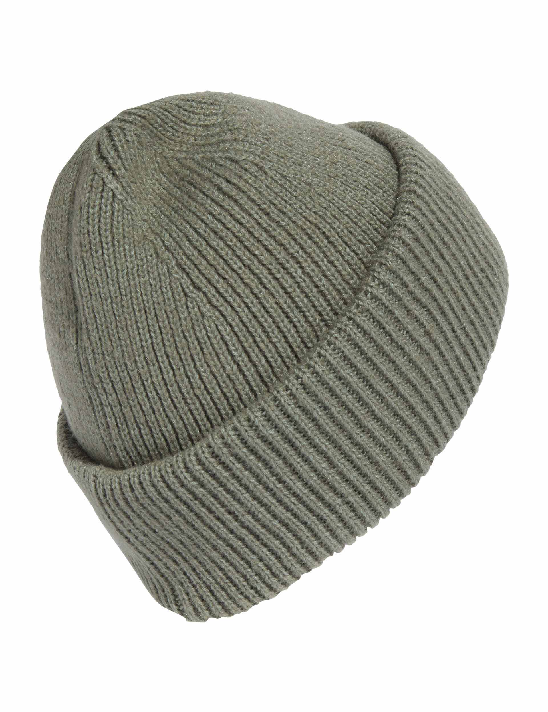 Terrex Multi Beanie - Silver Green & Linen Green Winter Hat for Men & Women | Warm Fleece Lined Skull Cap for Hiking, Running, Skiing & Outdoor Activities