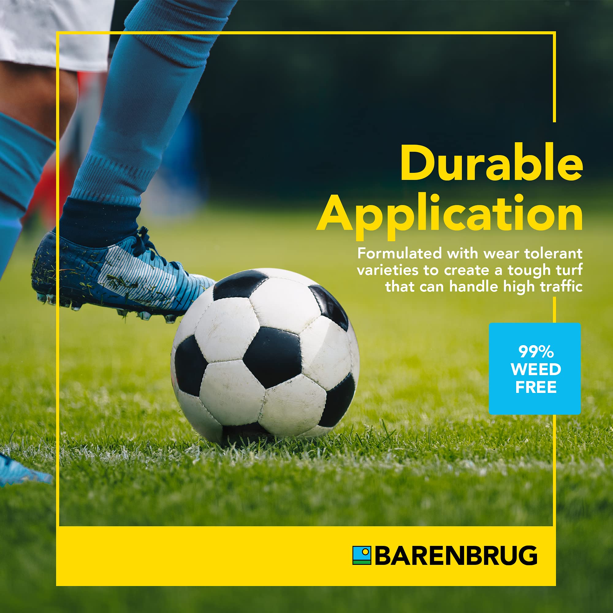 Barenbrug 25626 Turf Sense Athletic Field Grass Seed - 25 LB Bag for Sun & Partial Shade Areas | High-Performance Sports Turf for Football, Soccer & Playgrounds